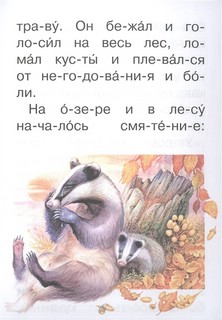 Барсучий нос 5