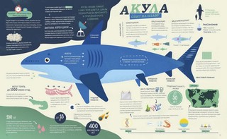 Как спит пчела? Удивительные факты о животных и их суперспособностях 3