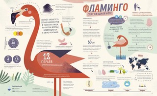 Как спит пчела? Удивительные факты о животных и их суперспособностях 5