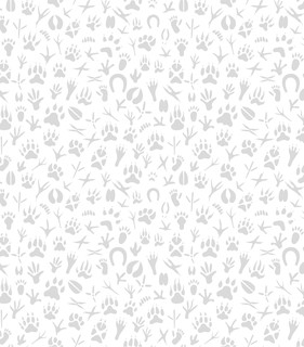 Я люблю раскрашивать милых звериков 4