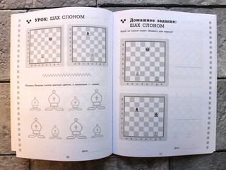 Рабочая тетрадь по шахматам. 154 практических задач для решения и 65 развивающих заданий 4