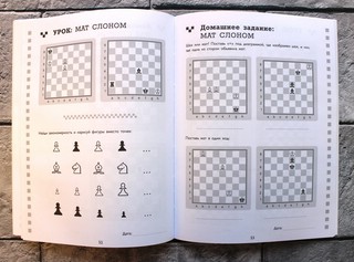 Рабочая тетрадь по шахматам. 154 практических задач для решения и 65 развивающих заданий 5