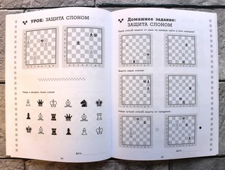 Рабочая тетрадь по шахматам. 154 практических задач для решения и 65 развивающих заданий 6