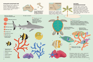 Подводный мир. Визуальный гид 4