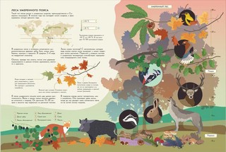 Планета Земля. Большая энциклопедия в графиках иллюстрациях и схемах 3