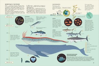 Планета Земля. Большая энциклопедия в графиках иллюстрациях и схемах 4