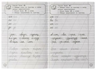 Прописи. Готовим руку к письму. Уровень 4, 5-7 лет 3