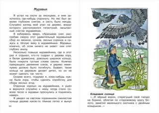 Кладовая солнца 2