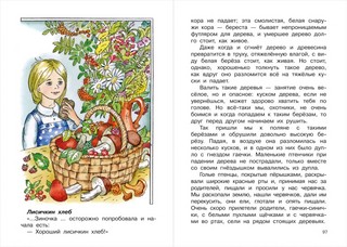 Кладовая солнца 3