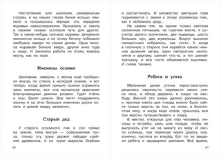 Кладовая солнца 4