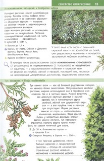 Деревья и кустарники России. Определитель 10
