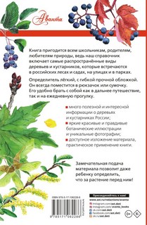 Деревья и кустарники России. Определитель 11