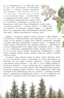 Деревья и кустарники России. Определитель 4