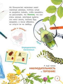 Насекомые. Книжка с наклейками 10