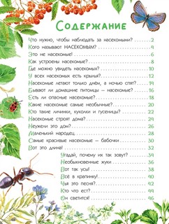 Насекомые. Книжка с наклейками 11