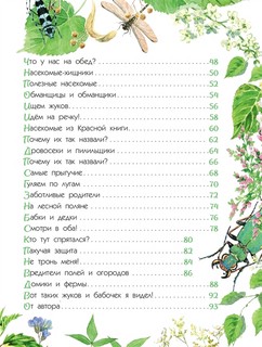 Насекомые. Книжка с наклейками 12