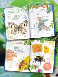 Насекомые. Книжка с наклейками 3