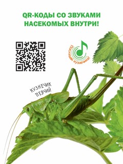 Насекомые. Книжка с наклейками 5