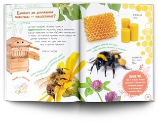 Насекомые. Книжка с наклейками 8