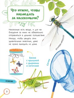 Насекомые. Книжка с наклейками 9
