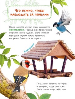 Птицы. Книжка с наклейками 9
