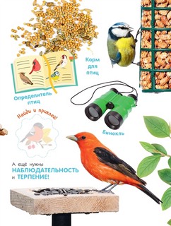 Птицы. Книжка с наклейками 10