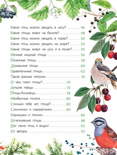Птицы. Книжка с наклейками 12