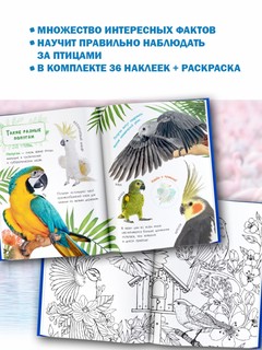 Птицы. Книжка с наклейками 4