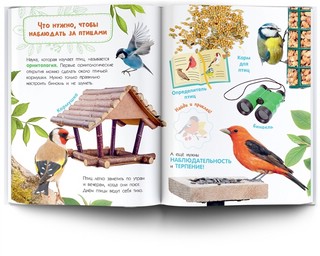 Птицы. Книжка с наклейками 6