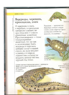 Моя первая энциклопедия 5