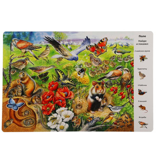 Развивающая книга с окошками 'Виммельбух. Животные' 2