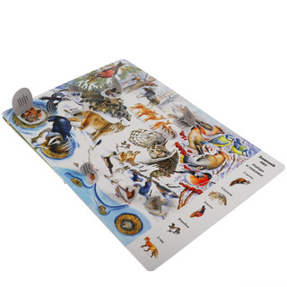 Развивающая книга с окошками 'Виммельбух. Животные' 4