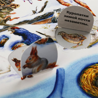 Развивающая книга с окошками 'Виммельбух. Животные' 5