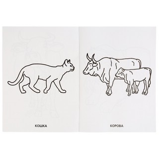 Домашние Животные. Супер-Раскраска 4