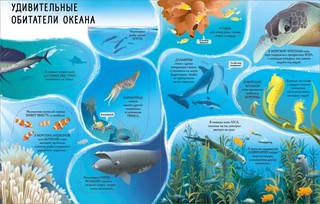 Океаны. Более 85 секретных створок 10