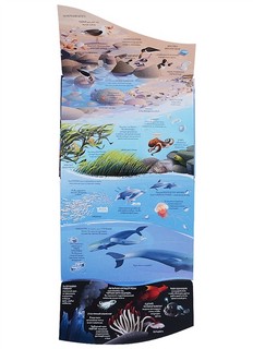 Океаны. Более 85 секретных створок 12