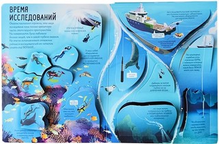 Океаны. Более 85 секретных створок 4