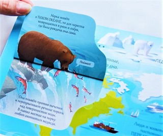 Океаны. Более 85 секретных створок 6