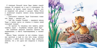 Путешествие на воздушных шарах 2