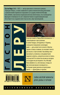 Тайна Желтой комнаты. Духи Дамы в черном 2