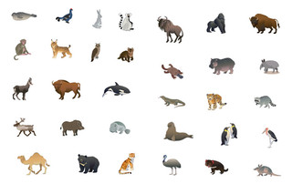 Животные нашей планеты 6