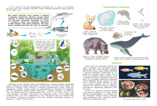 Планета Земля. Моя первая энциклопедия с наклейками 5