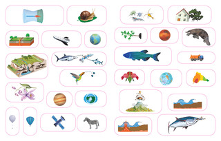 Планета Земля. Моя первая энциклопедия с наклейками 6