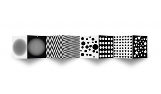 Интеллект. Мои первые контрастные книжки 2