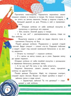 Про котят, котов и кошек 7