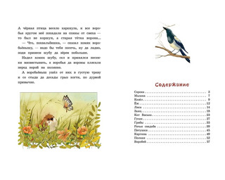 Сорочьи сказки 8