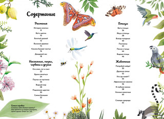 Большая книга о природе в картинках 2