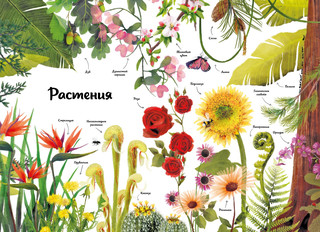 Большая книга о природе в картинках 3