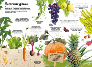 Большая книга о природе в картинках 4