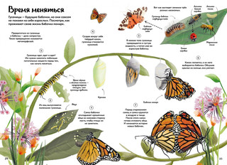 Большая книга о природе в картинках 5
